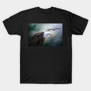 Eagle Territory T-Shirt